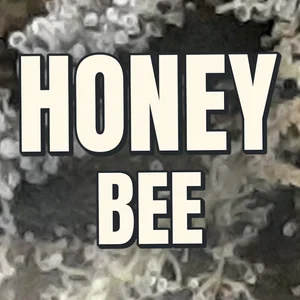 Honey Bee Cannabis Strain