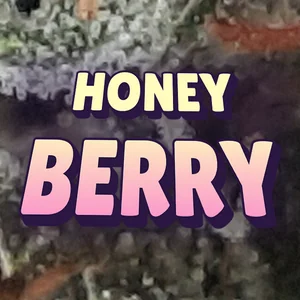 Honey Berry Cannabis Strain