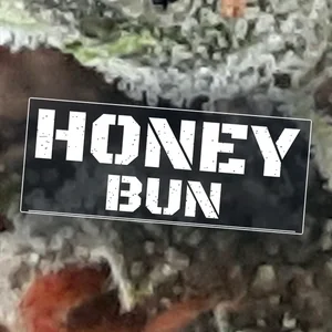 Honey Bun Cannabis Strain