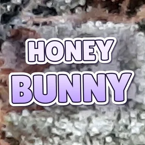 Honey Bunny Cannabis Strain