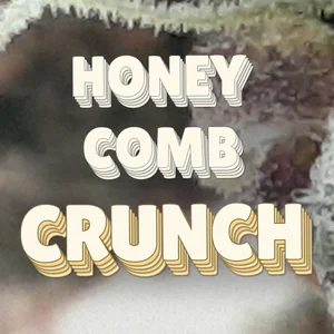 Honey Comb Crunch Cannabis Strain
