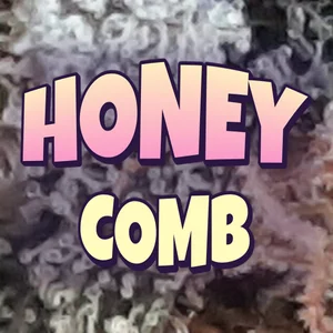 Honey Comb Cannabis Strain