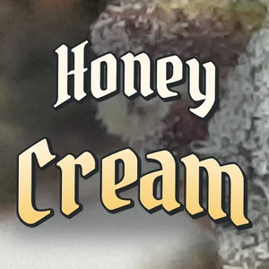 Honey Cream Cannabis Strain