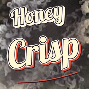 Honey Crisp Cannabis Strain