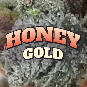 Honey Gold Cannabis Strain