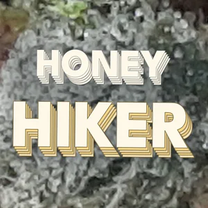 Honey Hiker Cannabis Strain