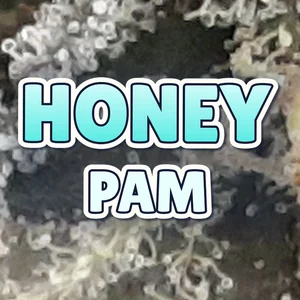 Honey Pam Cannabis Strain