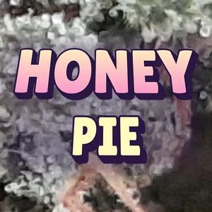 Honey Pie Cannabis Strain