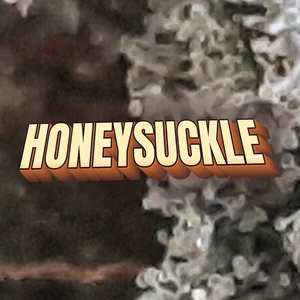 Honeysuckle Cannabis Strain