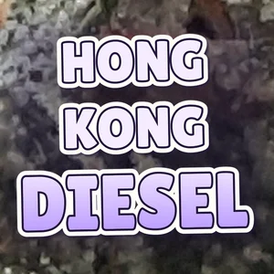 Hong Kong Diesel Cannabis Strain