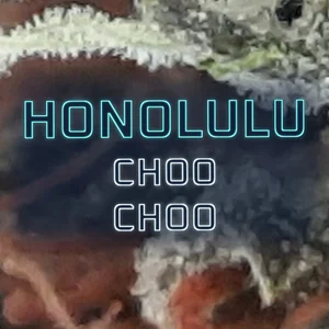 Honolulu Choo Choo Cannabis Strain