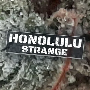 Honolulu Strange Cannabis Strain
