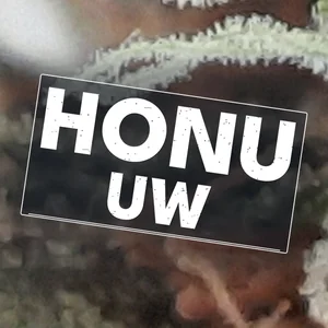 Honu UW Cannabis Strain