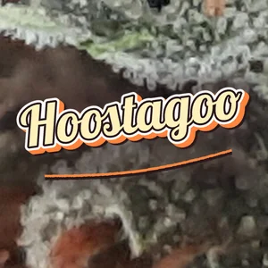 Hoostagoo Cannabis Strain