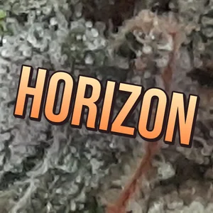 Horizon Cannabis Strain