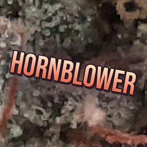 Hornblower Cannabis Strain