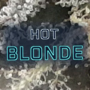 Hot Blonde Cannabis Strain