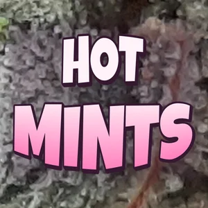 Hot Mints Cannabis Strain