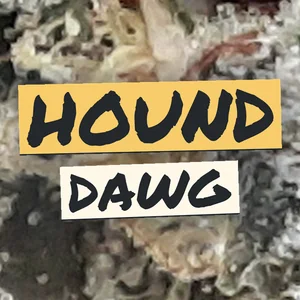 Hound Dawg Cannabis Strain