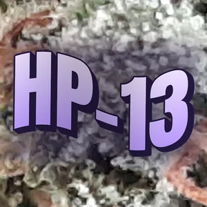 HP-13 Cannabis Strain