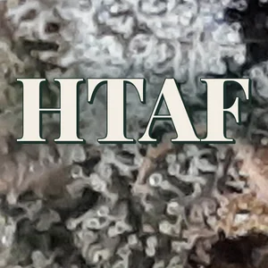 HTAF Cannabis Strain