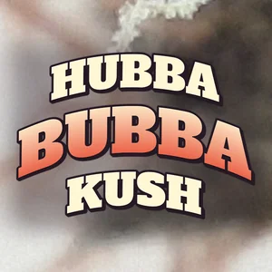 Hubba Bubba Kush Cannabis Strain