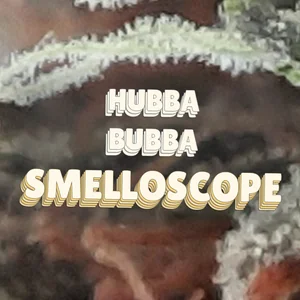 Hubba Bubba Smelloscope Cannabis Strain