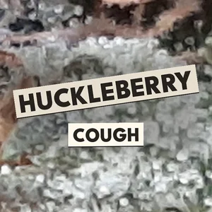 Huckleberry Cough Cannabis Strain