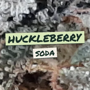 Huckleberry Soda Cannabis Strain