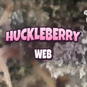 Huckleberry Web Cannabis Strain