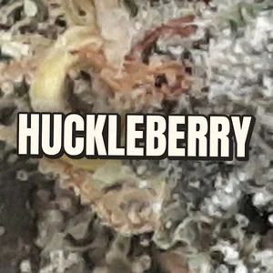Huckleberry Cannabis Strain