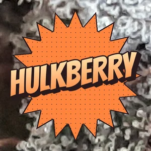 HulkBerry Cannabis Strain