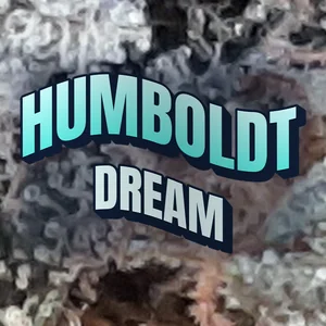 Humboldt Dream Cannabis Strain