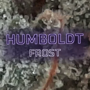 Humboldt Frost Cannabis Strain