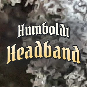 Humboldt Headband Cannabis Strain