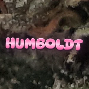 Humboldt Cannabis Strain