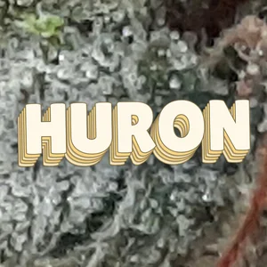 Huron Cannabis Strain