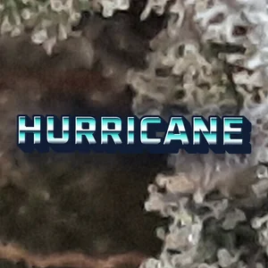 Hurricane Cannabis Strain