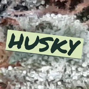 Husky Cannabis Strain