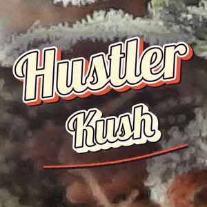 Hustler Kush Cannabis Strain