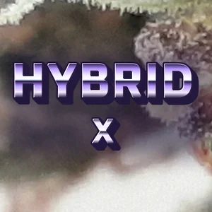 Hybrid X Cannabis Strain