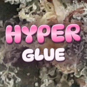 Hyper Glue Cannabis Strain