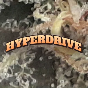 Hyperdrive Cannabis Strain