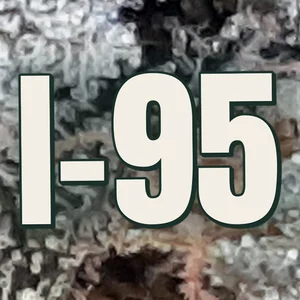I-95 Cannabis Strain