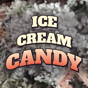 Ice Cream Candy Cannabis Strain
