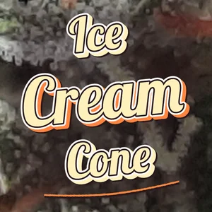 Ice Cream Cone Cannabis Strain