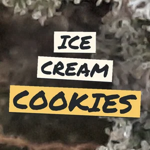 Ice Cream Cookies Cannabis Strain