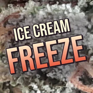Ice Cream Freeze Cannabis Strain
