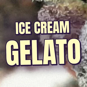 Ice Cream Gelato Cannabis Strain