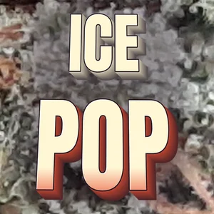 Ice Pop Cannabis Strain